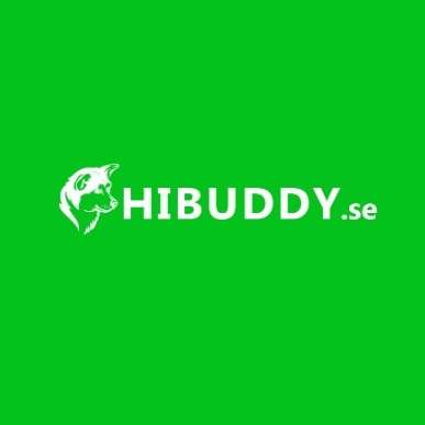 Hi Buddy Sweden AB