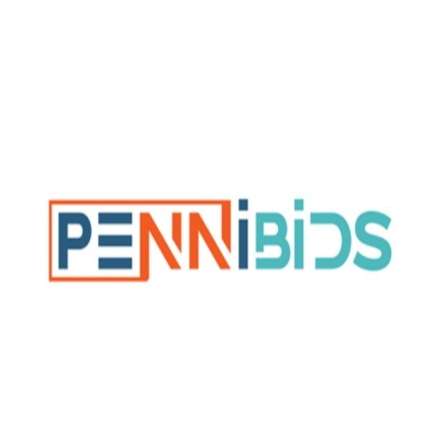 PenniBid Holdings LLC