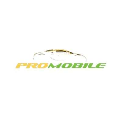 Pro Mobile Auto Detailing