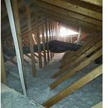 Maricopa Insulation Experts