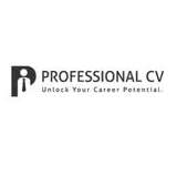 Professional CV Ireland