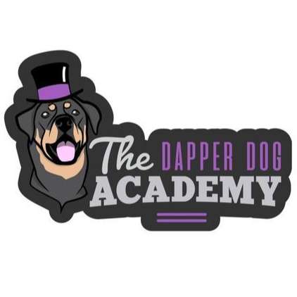 The Dapper Dog Academy