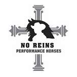 No Reins Performance Horses LLC