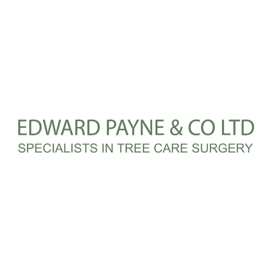 Edward Payne and Co