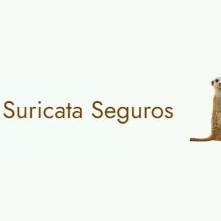 Suricata Seguros