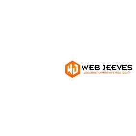 Professional Website Design Company - Web Jeeves