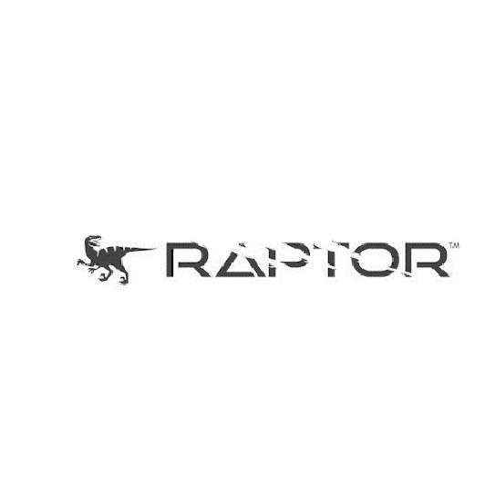 Raptor Digital Marketing