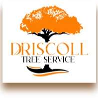 Driscoll Tree Service