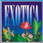 Exotica Beach Cottages