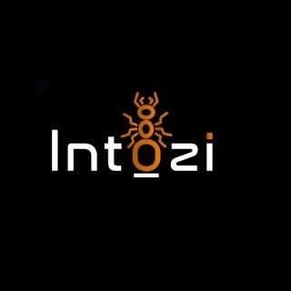 Intozi Tech Pvt. Ltd.