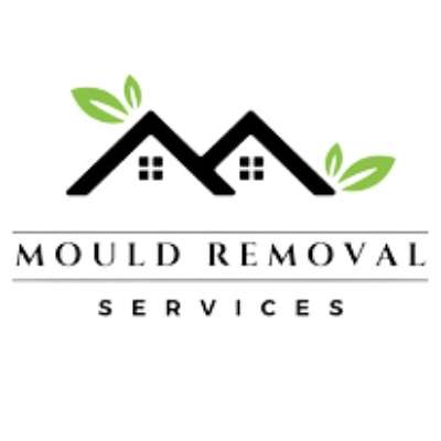 Mould Removal Service