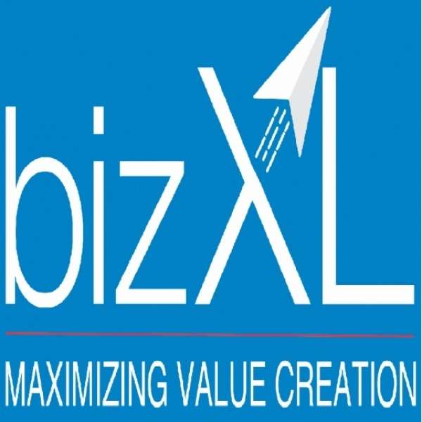 BizXL Solutions Inc