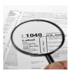 Tax Management Services