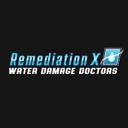 REMEDIATIONX