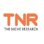 The Niche Research