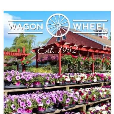 Wagon Wheel