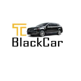 MSP Airport Black Car Private Chauffeurs Service Town Car Service