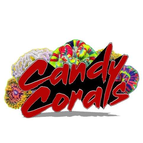 Candy Corals